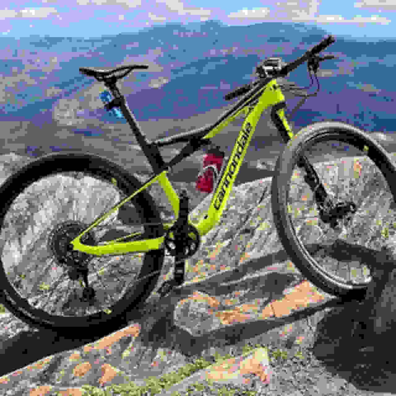 foto galeria bike shop